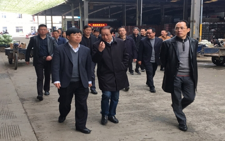2017年3月16日下午，嘉興市委常委、常務副市長樓建明帶領(lǐng)市級相關(guān)部門負責人視察嘉興蔬菜批發(fā)市場