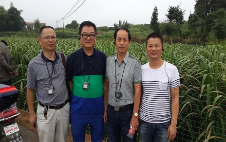 2014年8月，中國蔬菜流通協(xié)會會長戴中久與公司、市場領(lǐng)導一起考察蔬菜基地