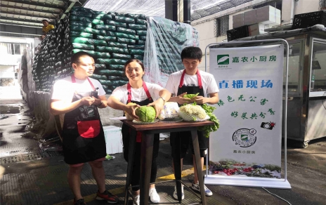 創(chuàng)意直播帶貨,本期專欄：蘭州高原夏菜！